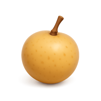 Icon of Longan