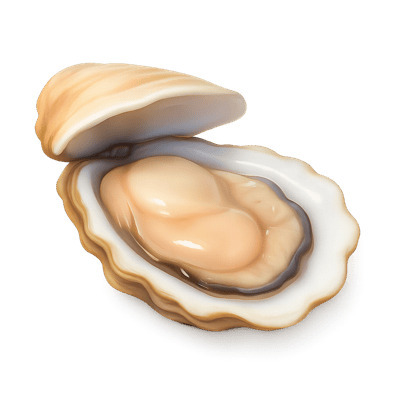 Icon of Oyster