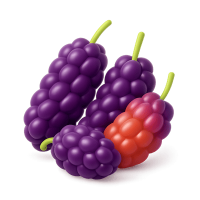 Icon of Mulberries
