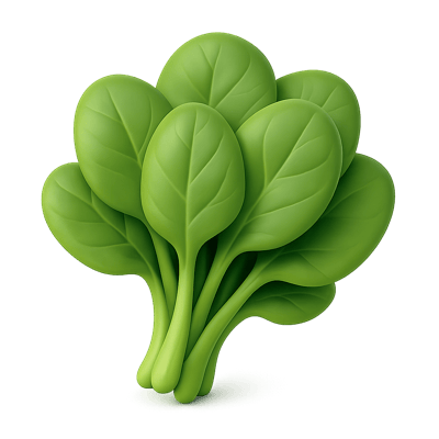 Icon of Spinach