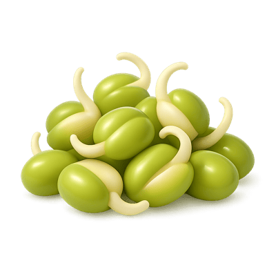 Icon of Sprouted Mung Beans