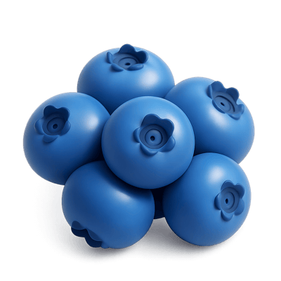 Icon of Blueberries