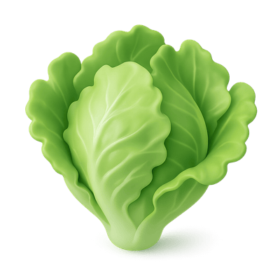 Icon of Green Leaf Lettuce