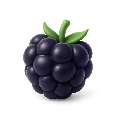 Icon of Black Raspberry