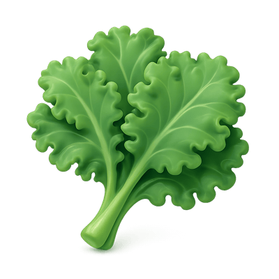 Icon of Curly Kale