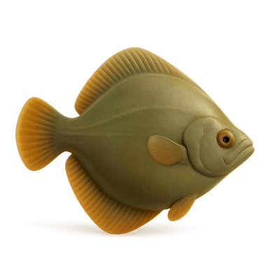 Icon of Turbot Fish