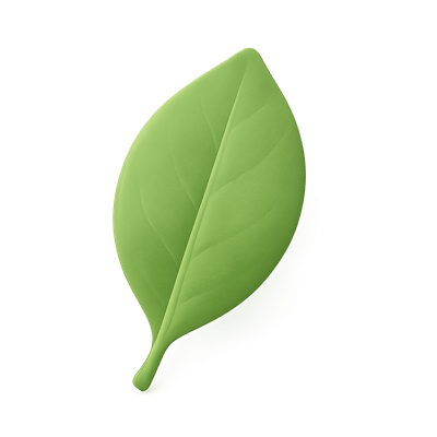 Icon of Bay Leaf