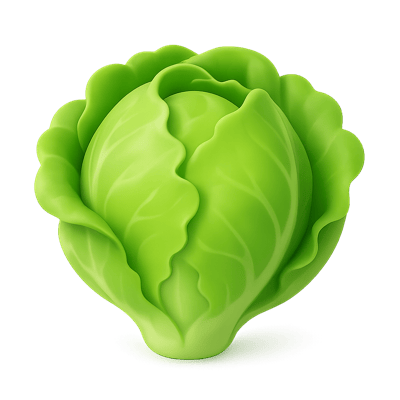 Icon of Lettuce