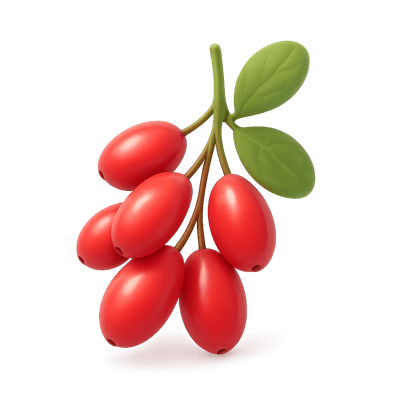 Icon of Barberries