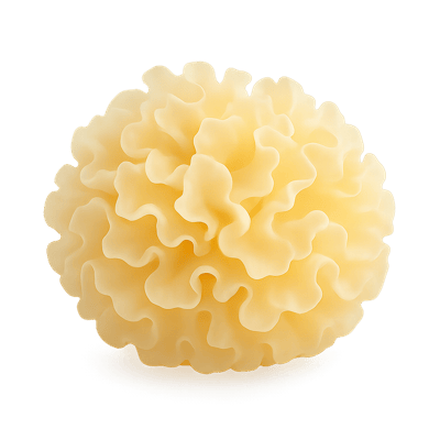 Icon of Snow Fungus