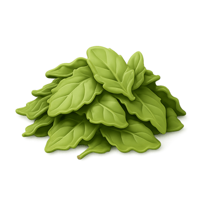 Icon of Mint (Dried)