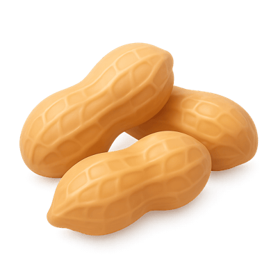 Icon of Raw Peanuts