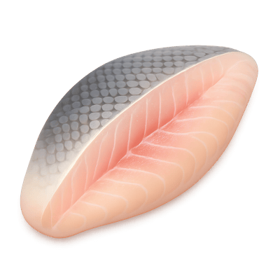 Icon of Rarramundi Fillet (Raw)