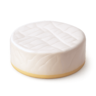 a wheel of Camembert cheese