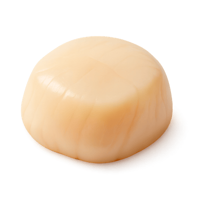 Icon of Sea Scallop (Raw)
