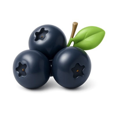 Icon of Chokeberries