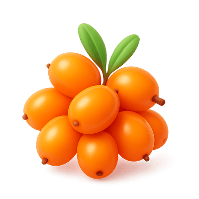 Icon of Sea Buckthorn Berries