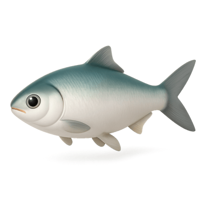 Icon of Milkfish (Bangus)