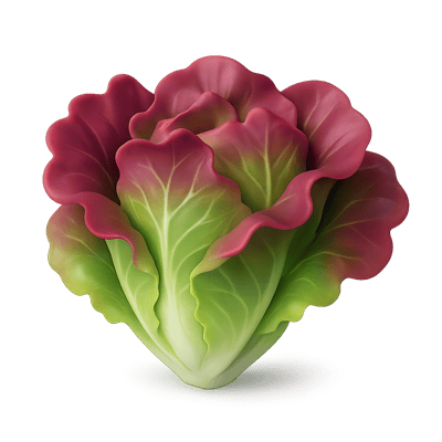 Icon of Red Leaf Lettuce