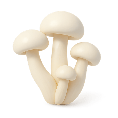 Icon of White Beach Mushrooms