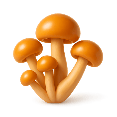 Icon of Amber Nameko Mushrooms