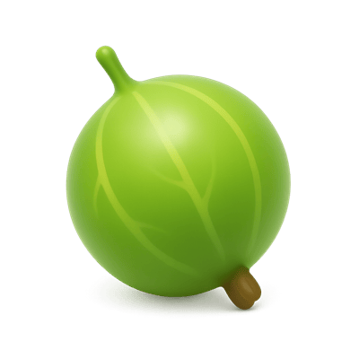 Icon of Gooseberry