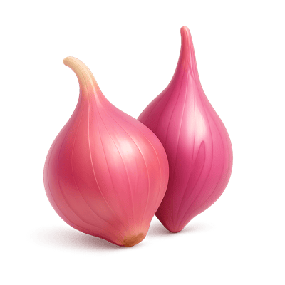 Icon of Shallot