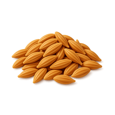 Icon of Cumin Seeds