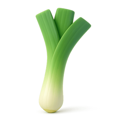 Icon of Leek