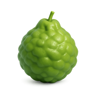 Icon of Kaffir Lime