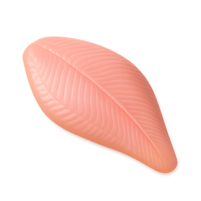 Icon of Sole Fillet (Raw)