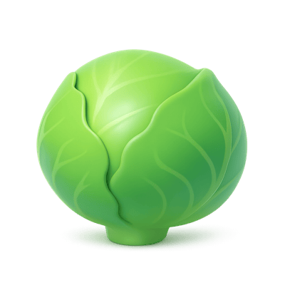 a head of green cabbage