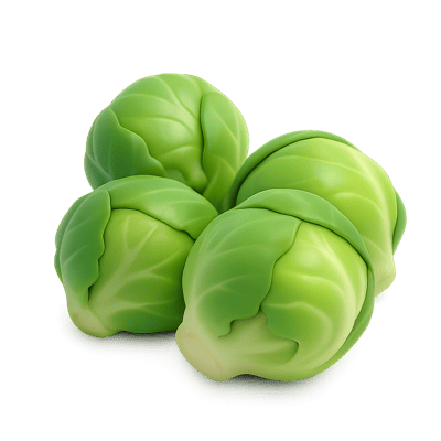 Icon of Brussels Sprouts