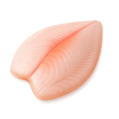 Icon of Lemon Sole Fillet (Raw)