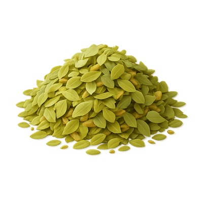 Icon of Marjoram (Dried)