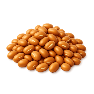 Icon of Moth Beans (Matki)