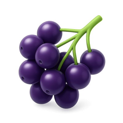 Icon of Elderberries