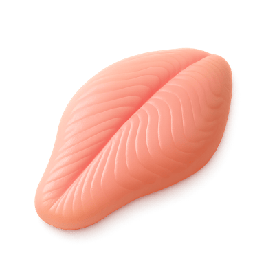 Icon of Basa Fillet (Raw)