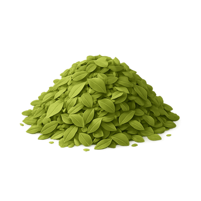 Icon of Basil (Dried)