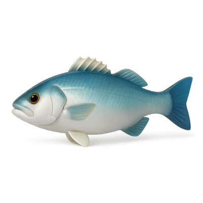 Icon of Sea Bass