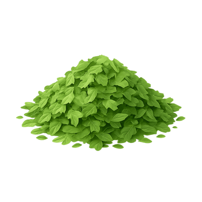 Icon of Parsley (Dried)