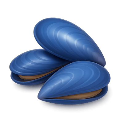 Icon of Blue Mussels