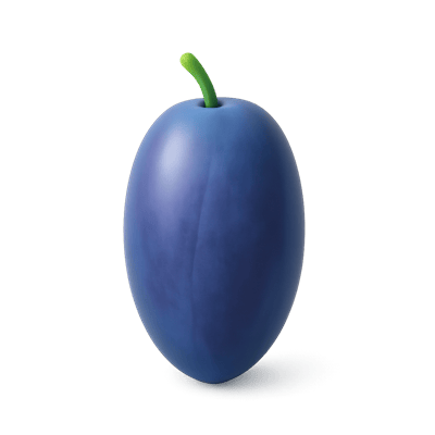 Icon of Haskap Berry