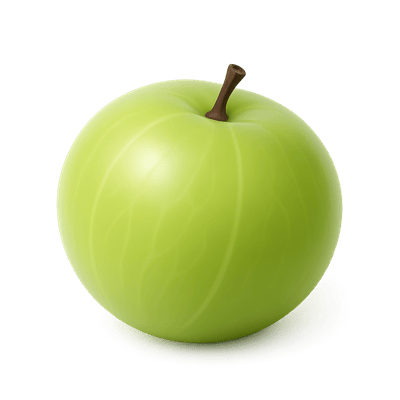 Icon of Amla (Indian Gooseberry)