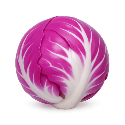 Icon of Radicchio