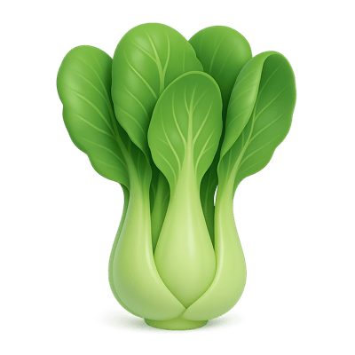 Icon of Bok Choy