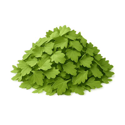 Icon of Cilantro (Dried)