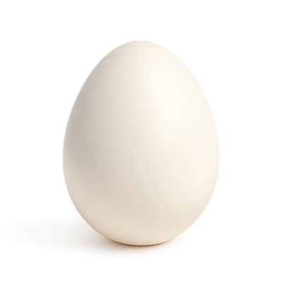 Icon of Egg