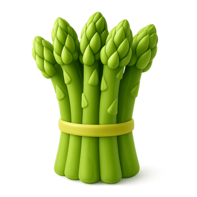 Icon of Asparagus