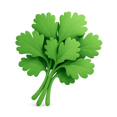 Icon of Cilantro